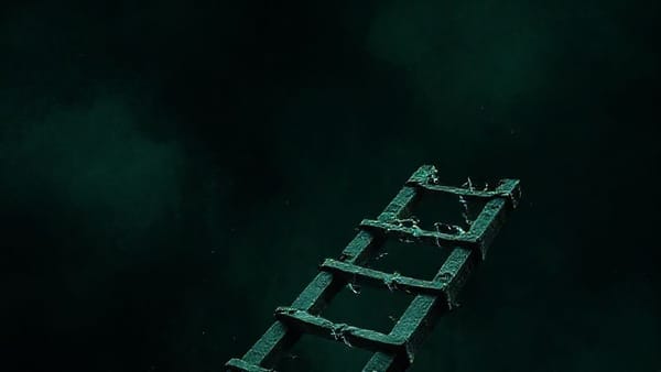 The Last Rung on a Broken Ladder